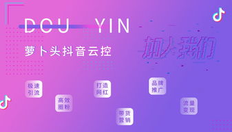 抖音群控营销系统批量评论起到了推广引流的目的